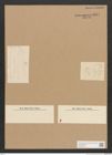 Diatomeae indet. Zeichnungen Sammlung Grunow Nr. 4571 (NHMW-BOT-W0372530)